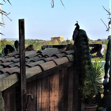 B&B Villa San Marco Agrigento Exterior photo