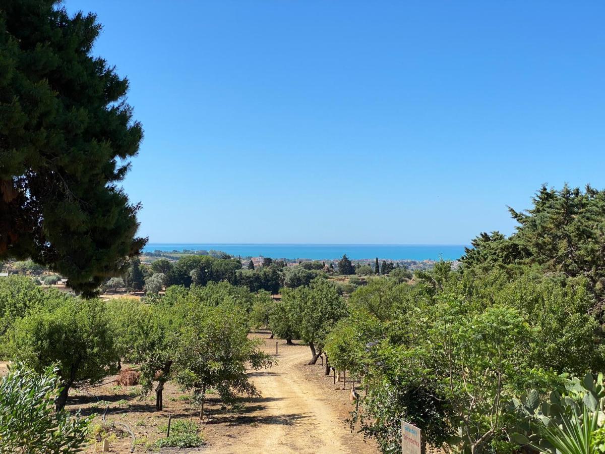 B&B Villa San Marco Agrigento Exterior photo